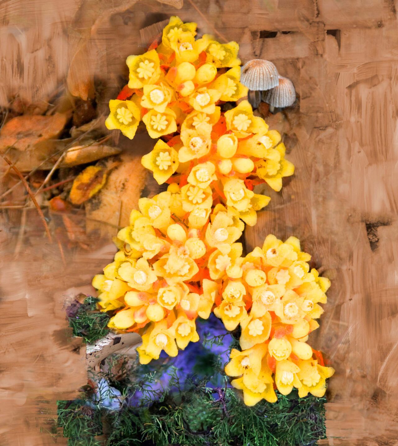 DE LOS SANTOS Eau de Parfum