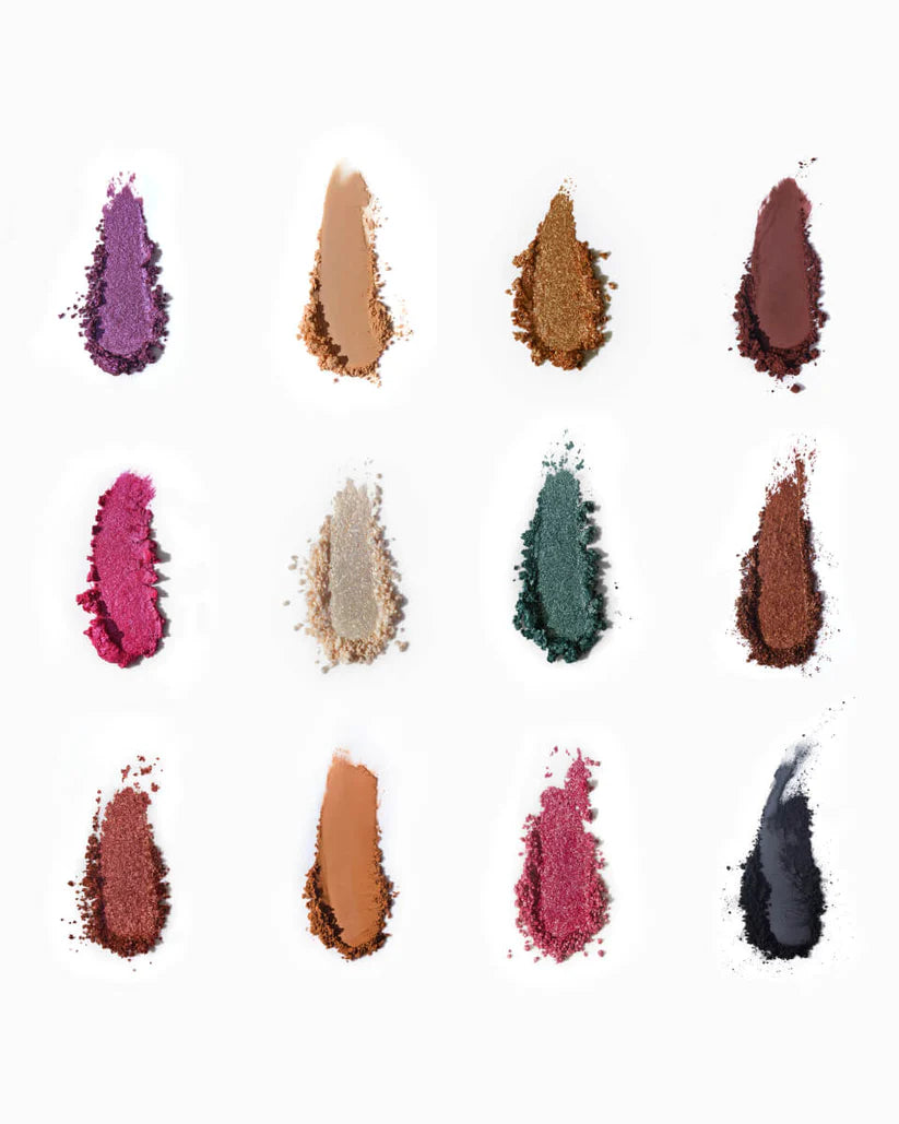 WILD STAR - Pressed Pigment Palette
